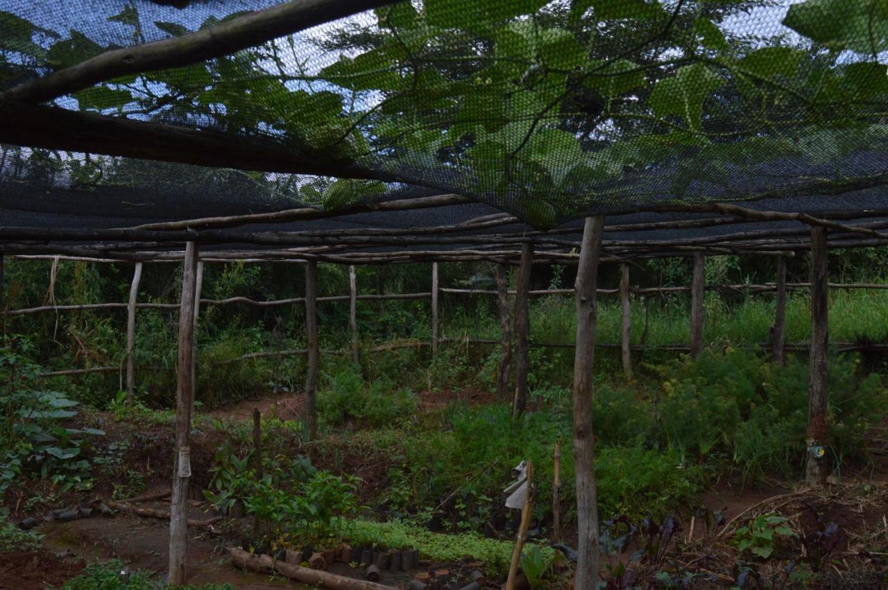 Rutete Eco Lodge Rwinkwavu Exterior photo