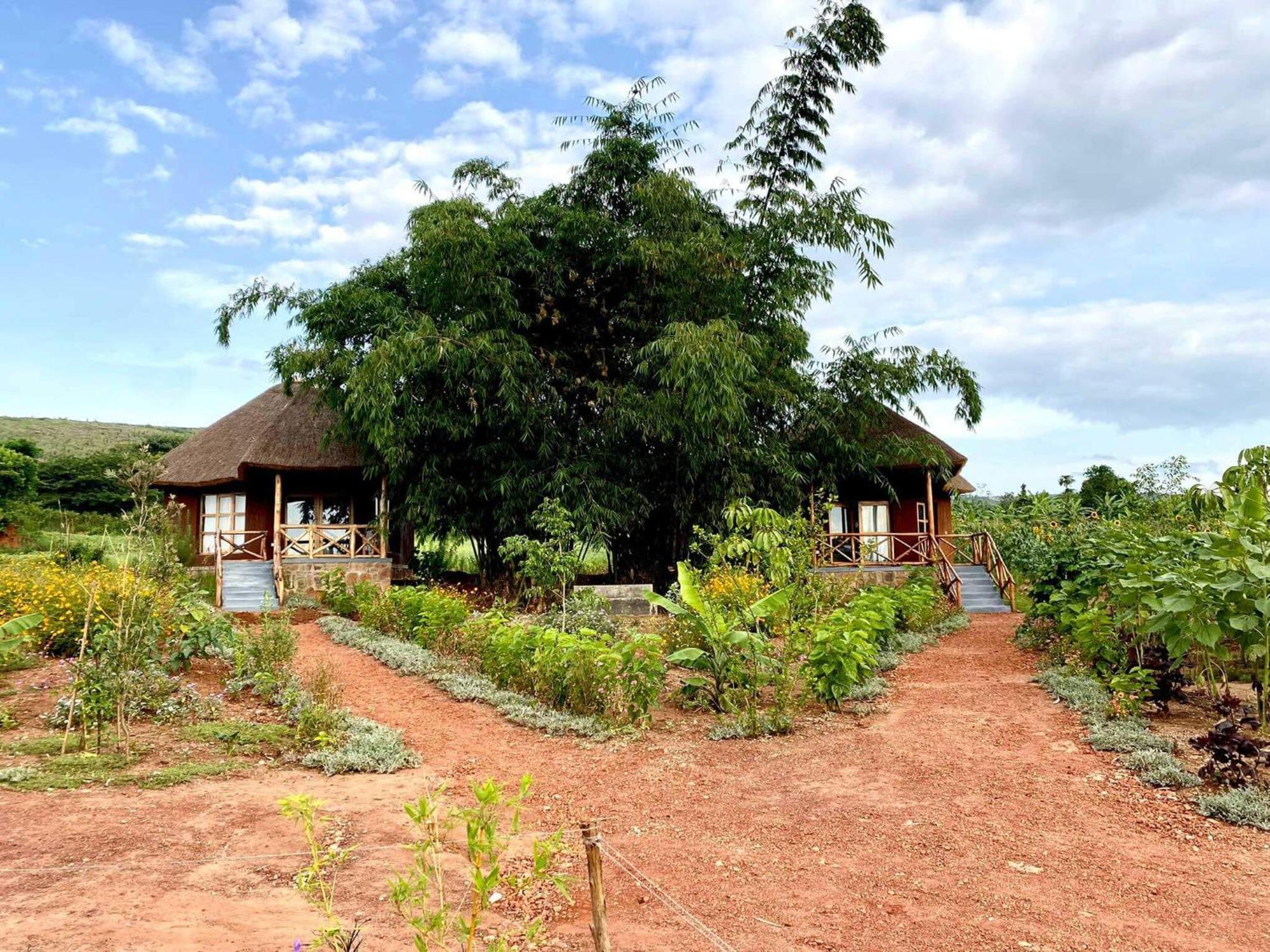 Rutete Eco Lodge Rwinkwavu Exterior photo